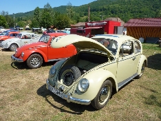 Intalnirea proprietarilor de Volkswagen Beetle!