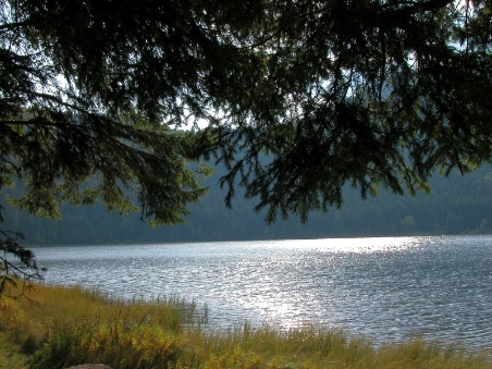 Szent Anna-tó, Mohos-tõzegláp és Torjai Büdösbarlang!